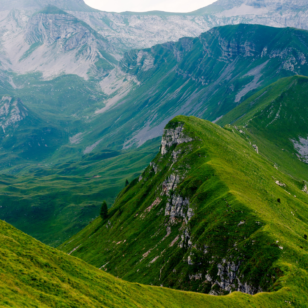 Therapy session in progress