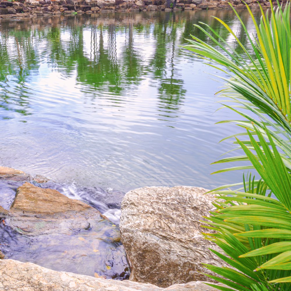 Professional counseling environment