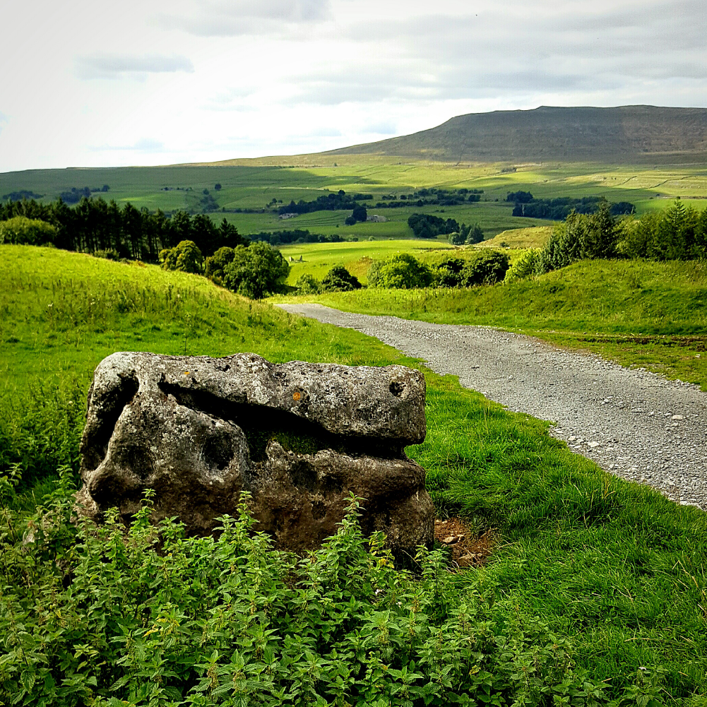 Therapy consultation room