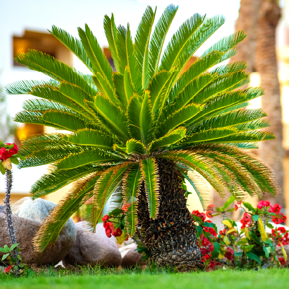 Group therapy session