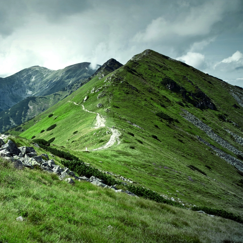 Individual therapy session