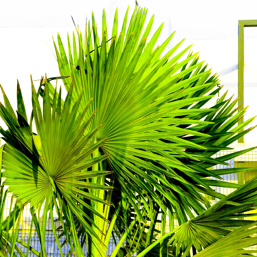 Therapy center facilities