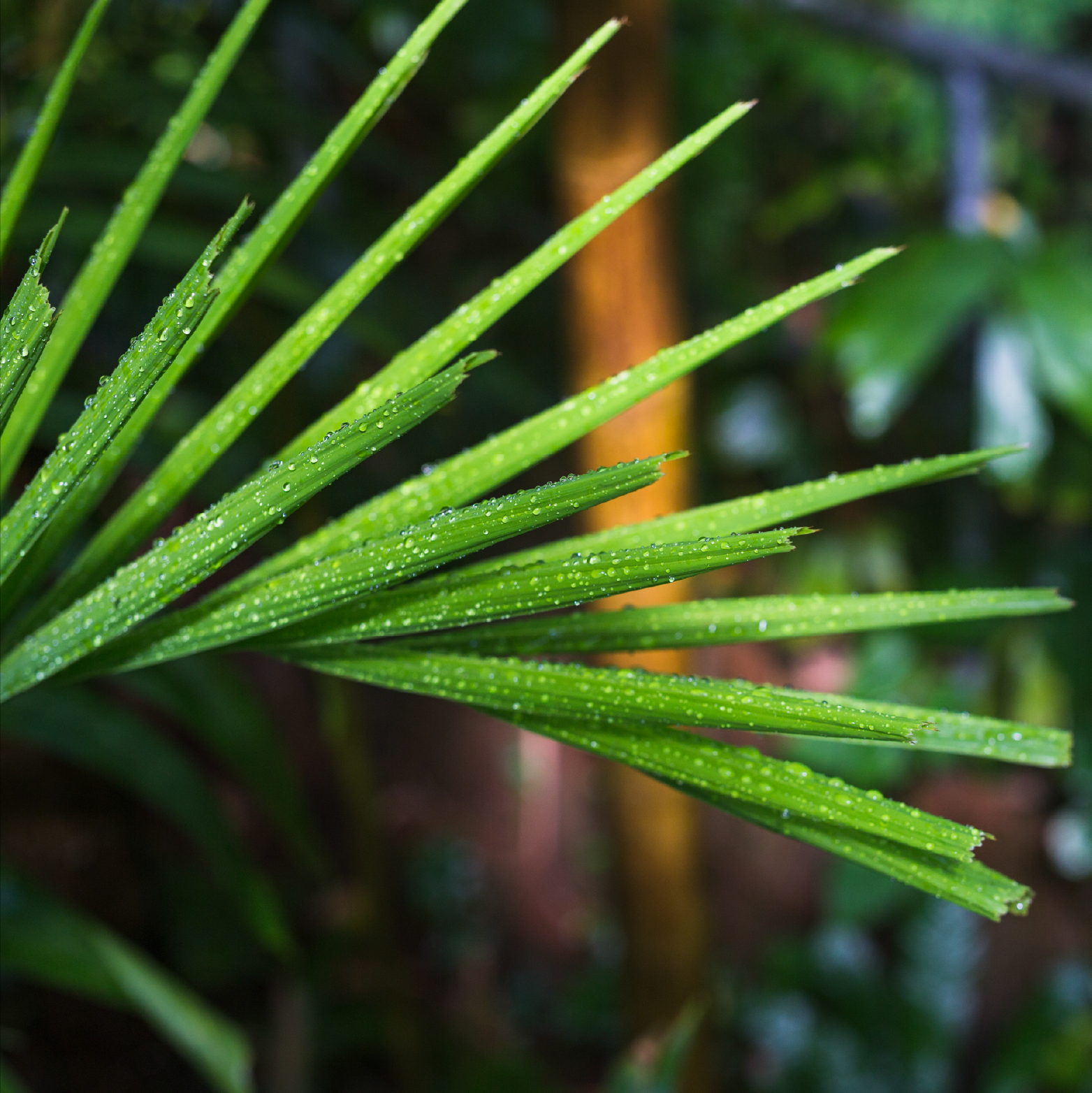 Therapy center amenities