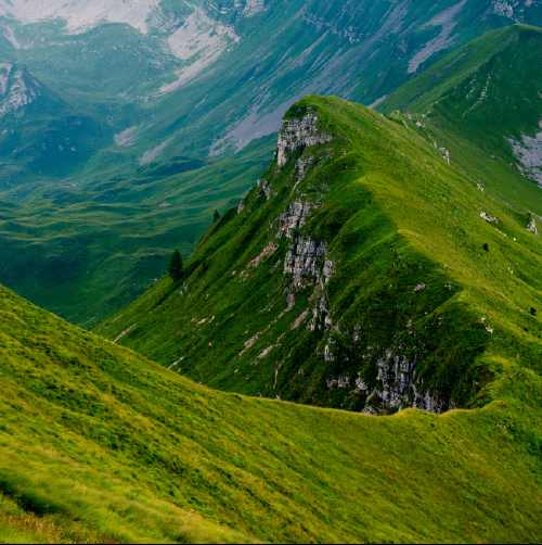 Mental health support services