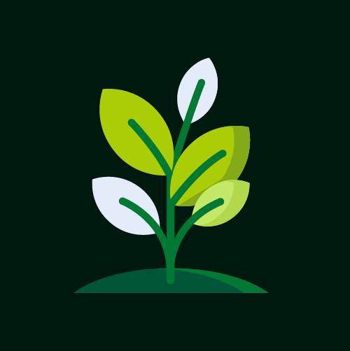 Online therapy session